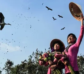 Sản phẩm 6b42f99b96026f5c3613774098244 2826 — Hoa Biển - Công Ty TNHH Thương Mại Dịch Vụ Du Lịch Hoa Biển — MST 0303059404