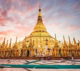 Sản phẩm 71200x1200 1603 — Hoa Biển - Công Ty TNHH Thương Mại Dịch Vụ Du Lịch Hoa Biển — MST 0303059404