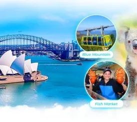 Sản phẩm 8 5550 — Hoa Biển - Công Ty TNHH Thương Mại Dịch Vụ Du Lịch Hoa Biển — MST 0303059404