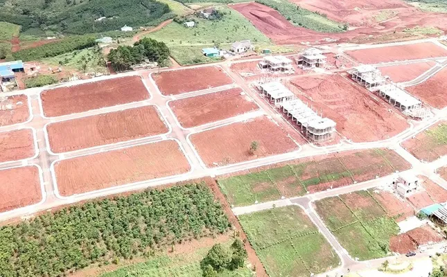 Sản phẩm 8 loai dat cam phan lo tach thua — Công Ty CP Hệ Thống Luật Nguyễn/ VP Luật Sư Luật Nguyễn — MST 0303078012