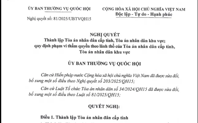Sản phẩm dia chi cua 19 tand khu vuc tphcm tu ngay 01 7 2025 — Công Ty CP Hệ Thống Luật Nguyễn/ VP Luật Sư Luật Nguyễn — MST 0303078012