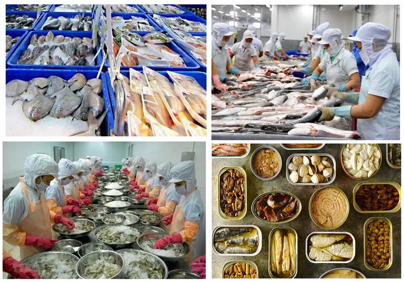 Sản phẩm category_post 1718164605 T1 — Kệ Tân Phương Phát - Công Ty TNHH Thương Mại-Sản Xuất Tân Phương Phát — MST 0303098996