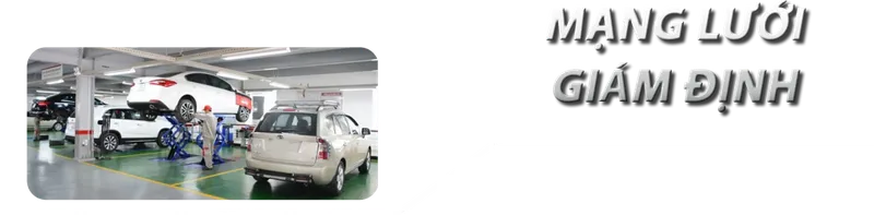 Sản phẩm Layer 15 1 1024x252 — Công Ty Cổ Phần Bảo Hiểm Viễn Đông — MST 0303099446