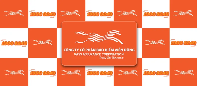 Sản phẩm VASS 1 — Công Ty Cổ Phần Bảo Hiểm Viễn Đông — MST 0303099446