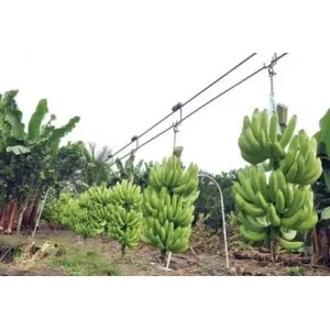 Sản phẩm 300x300_25_84 — Chế Tạo Máy Móc R.A.I - Công Ty TNHH Thiết Bị Công Nghệ R.A.I — MST 0303112552