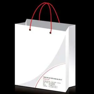 Sản phẩm 83 tui giay — Ngành In Phạm Chương - Công Ty TNHH MTV Phạm Chương — MST 0303112873