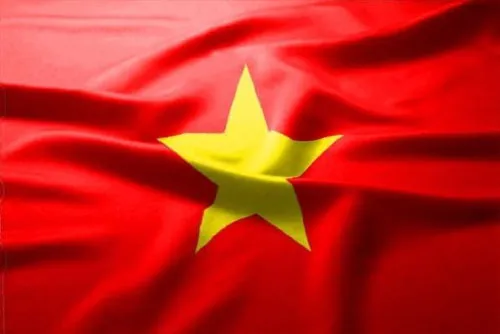 Sản phẩm vi — Dây Chuyền Sản Xuất Đông Bắc Việt - Công Ty TNHH Đông Bắc Việt — MST 0303117039