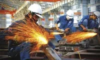 Sản phẩm db 15547116587 — Dây Chuyền Sản Xuất Đông Bắc Việt - Công Ty TNHH Đông Bắc Việt — MST 0303117039