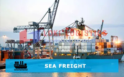 Sản phẩm service sea freight — Công Ty Trách Nhiệm Hữu Hạn Lo Ki — MST 0303187893