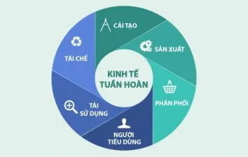 Sản phẩm kinh te tuan hoan 1656917723778 6231 — Nhựa Phú Hưng Cường - Công Ty TNHH Sản Xuất Thương Mại Phú Hưng Cường — MST 0303224432