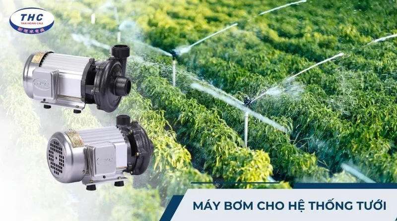 Sản phẩm may bom cho he thong tuoi — Công Ty Cổ Phần Cơ Điện Tân Hoàn Cầu — MST 0303225556