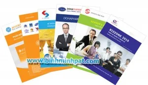 Sản phẩm 1335520622catalogue 5 300x173 — Công Ty TNHH Bình Minh PAT — MST 0303246281