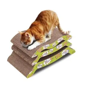 Sản phẩm Cat Scratch Board 2506246 300x300 — Công Ty TNHH Bình Minh PAT — MST 0303246281