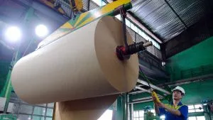 Sản phẩm giay cuon vn 01 1506648400879 300x169 — Công Ty TNHH Bình Minh PAT — MST 0303246281