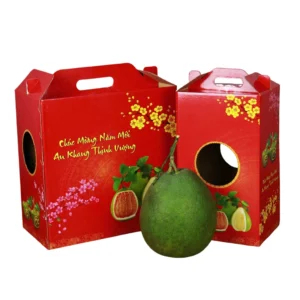 Sản phẩm hop carton dung buoi 2502 300x300 — Công Ty TNHH Bình Minh PAT — MST 0303246281