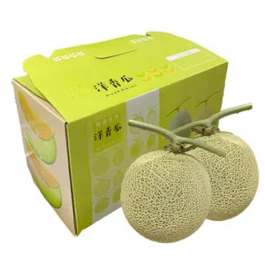 Sản phẩm hop dua luoi 2502 300x300 — Công Ty TNHH Bình Minh PAT — MST 0303246281
