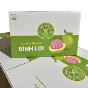 Sản phẩm thung carton dung buoi 2501 300x300 — Công Ty TNHH Bình Minh PAT — MST 0303246281
