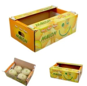 Sản phẩm thung carton dung dua luoi 2514 300x297 — Công Ty TNHH Bình Minh PAT — MST 0303246281