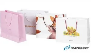 Sản phẩm tui giay long an 300x175 — Công Ty TNHH Bình Minh PAT — MST 0303246281