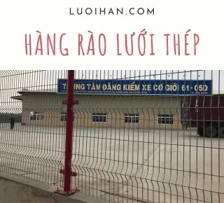 Sản phẩm hangraoluoithep 2082_320x290 — Lưới Hàn Thiên Phú - Công Ty Cổ Phần Lưới Hàn Thiên Phú — MST 0303262276