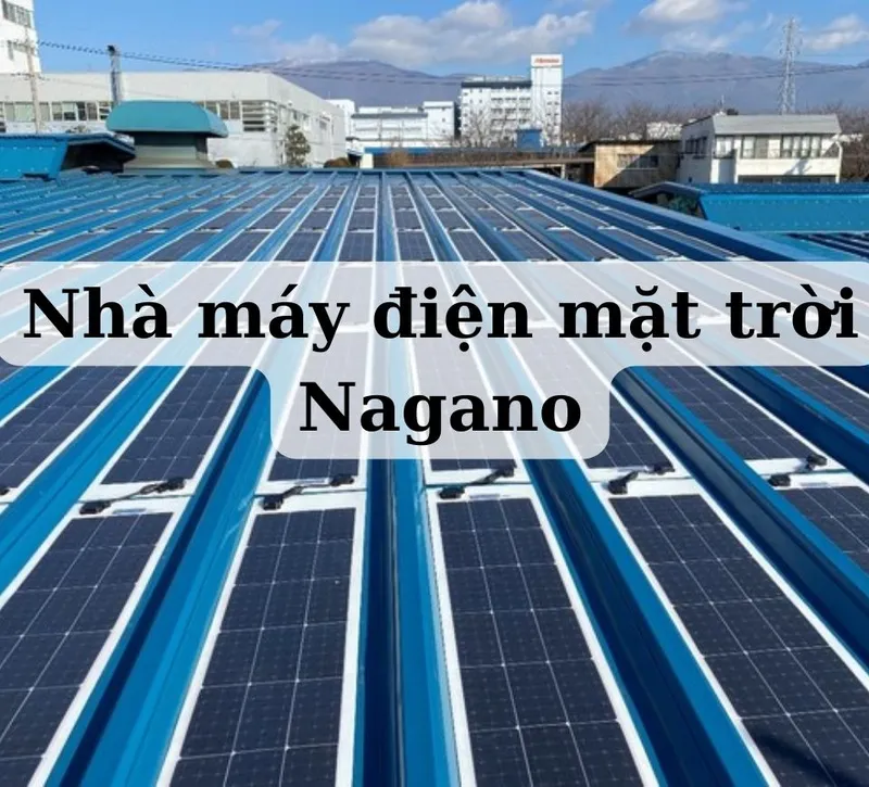 Sản phẩm nhamaydienmattroinaganonhatban 3336 — Lưới Hàn Thiên Phú - Công Ty Cổ Phần Lưới Hàn Thiên Phú — MST 0303262276