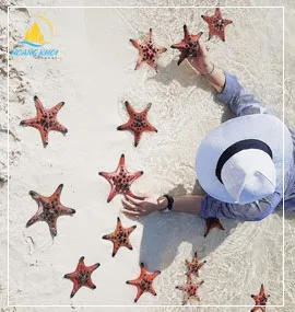 Sản phẩm tour phu quoc gia re 2022718945374339 — Công Ty TNHH Du Lịch Hoàng Khởi — MST 0303269112