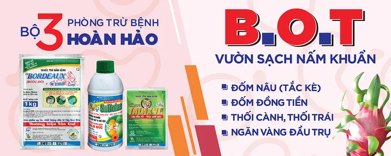 Sản phẩm Cover tong hop 01 — Công Ty TNHH Ngân Anh — MST 0303307992