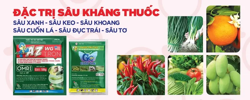 Sản phẩm Cover tong hop 02 1024x410 — Công Ty TNHH Ngân Anh — MST 0303307992