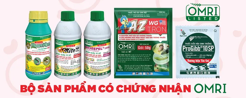 Sản phẩm Cover tong hop 03 — Công Ty TNHH Ngân Anh — MST 0303307992