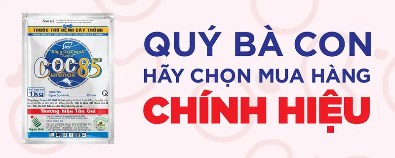 Sản phẩm Cover tong hop 05 — Công Ty TNHH Ngân Anh — MST 0303307992