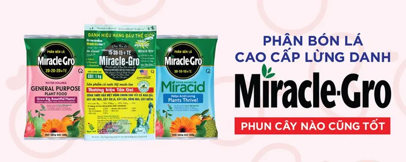 Sản phẩm Cover tong hop 06 1024x410 — Công Ty TNHH Ngân Anh — MST 0303307992
