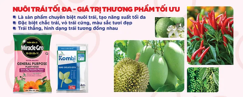 Sản phẩm Cover tong hop 07 — Công Ty TNHH Ngân Anh — MST 0303307992