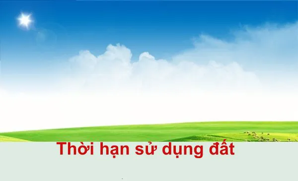Sản phẩm dich vu gia han su dung dat tai thu duc_1588835560 — Vạn Phú Thịnh - Công Ty TNHH Tư Vấn Xây Dựng Địa ốc Vạn Phú Thịnh — MST 0303344472
