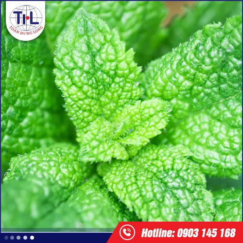 Sản phẩm huong bac ha — Hương Liệu Toàn Hưng Long - Công Ty TNHH Toàn Hưng Long — MST 0303437825