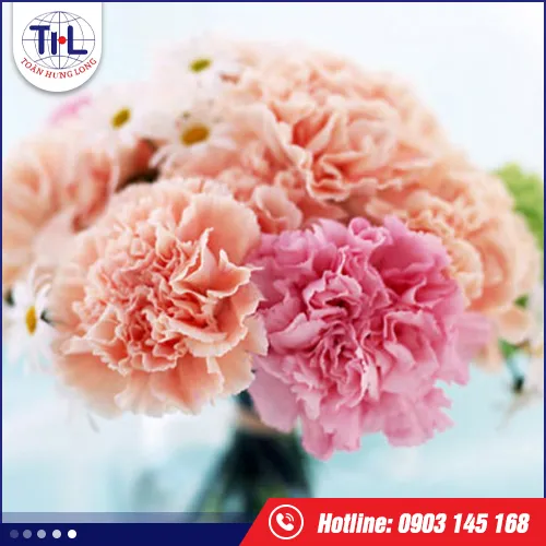 Sản phẩm huong hoa — Hương Liệu Toàn Hưng Long - Công Ty TNHH Toàn Hưng Long — MST 0303437825