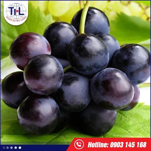 Sản phẩm huong nho — Hương Liệu Toàn Hưng Long - Công Ty TNHH Toàn Hưng Long — MST 0303437825