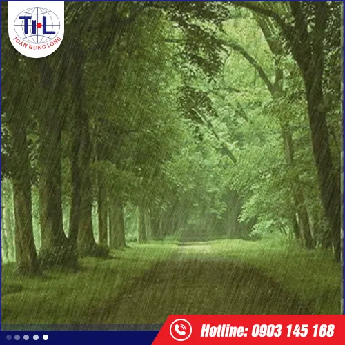 Sản phẩm huong rung mua — Hương Liệu Toàn Hưng Long - Công Ty TNHH Toàn Hưng Long — MST 0303437825