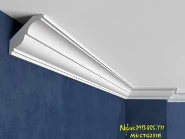 Sản phẩm CTG251E — Công Ty Cổ Phần Trang Trí Nội Thất Quốc Thành — MST 0303486156
