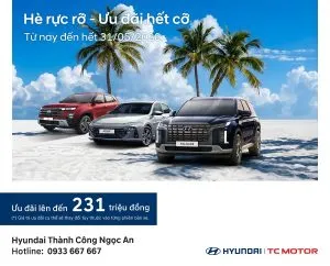 Sản phẩm HE RUC RO UU DAI HET CO 300x242 — Công Ty Cổ Phần Thương Mại Dịch Vụ Ngọc An — MST 0303507529