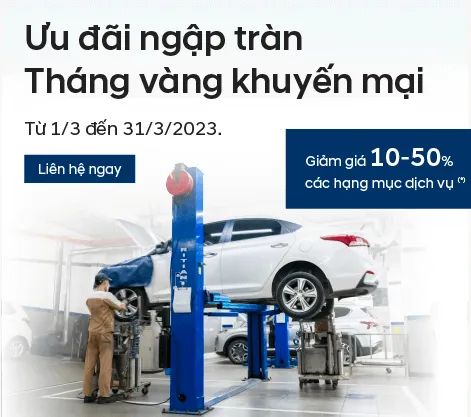Sản phẩm KMDV_T3_2023 — Công Ty Cổ Phần Thương Mại Dịch Vụ Ngọc An — MST 0303507529