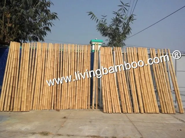 Sản phẩm 20140303103923 — Tre Làng - Công Ty TNHH Tre Làng — MST 0303525976