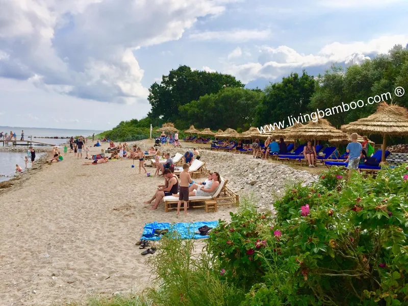 Sản phẩm 20190720090554 — Tre Làng - Công Ty TNHH Tre Làng — MST 0303525976