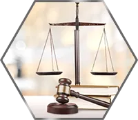 Sản phẩm law — Công Ty TNHH Tư Vấn Quản Lý & Giải Pháp Đầu Tư Ever Win — MST 0303531190