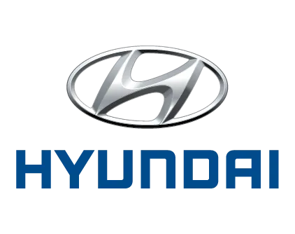 Sản phẩm Hyundai 01 — Công Ty TNHH Tâm Ánh Dương — MST 0303532010