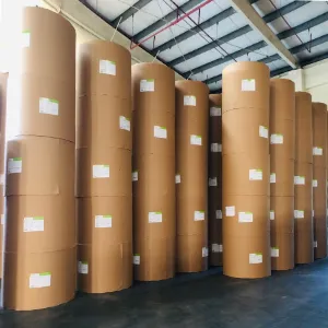 Sản phẩm product_s50 — Công Ty TNHH Sản Xuất Thương Mại Giấy Hoa Đăng — MST 0303535935