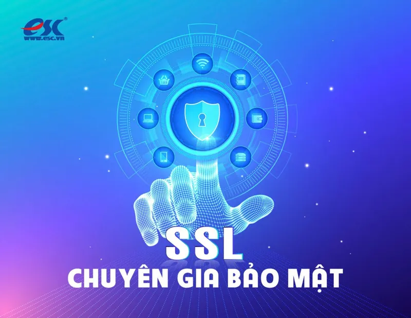 Sản phẩm aaa scaled — Công Ty TNHH Giải Pháp Trực Tuyến (ESC) — MST 0303562209
