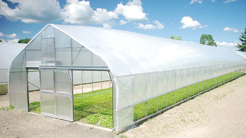 Sản phẩm LDPE — Công Ty TNHH Sản Xuất Thương Mại Bao Bì Tân Tiến Phát Tài — MST 0303566877