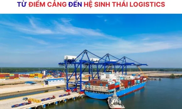 Sản phẩm 1 5 580x350 — Công Ty Cổ Phần Nhật Việt — MST 0303582935