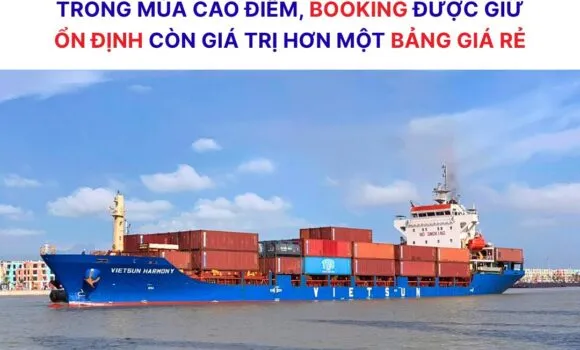 Sản phẩm 1 8 580x350 — Công Ty Cổ Phần Nhật Việt — MST 0303582935