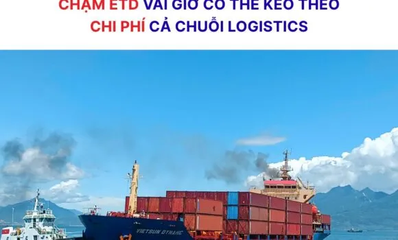 Sản phẩm 1 580x350 — Công Ty Cổ Phần Nhật Việt — MST 0303582935